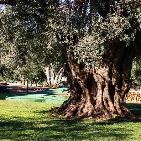 Cdshotels - Citta Del Mare Hotel