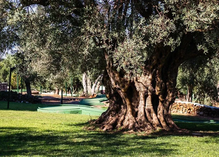 Cdshotels - Citta Del Mare Hotel